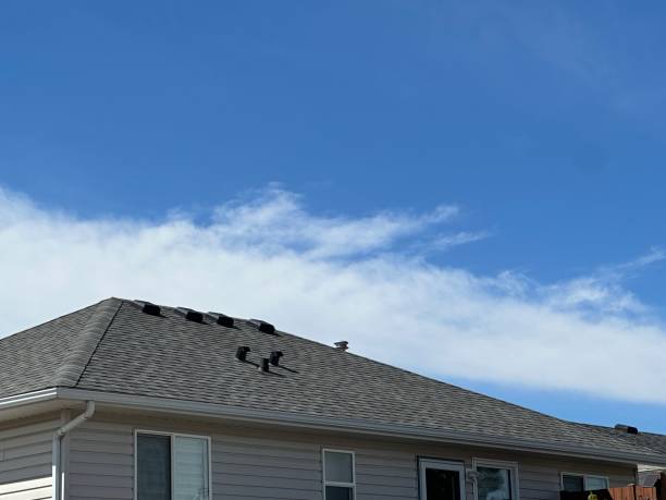 Best Roof Coating and Sealing  in Nappanee, IN